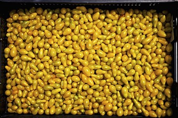 Yellow teardrop tomatoes of the variety 'Dattelwein Sherry'