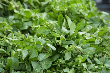 Bunches of fresh mint at the market