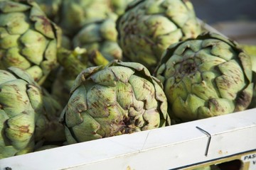 Obraz premium Artichokes
