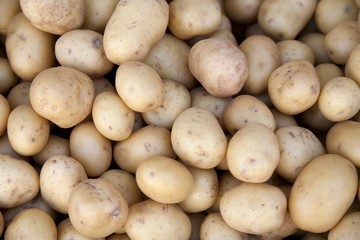 Full Frame of Small White Potatoes