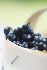 Bilberries in a punnet