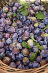 Lots of plums in a basket