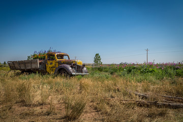 Old Truck in a flowery meadow
