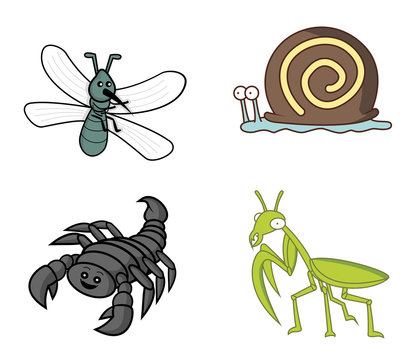 insect set mosquito.snail.scorpion.mantises