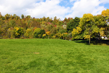 Naklejka premium Colorful autumn landscape