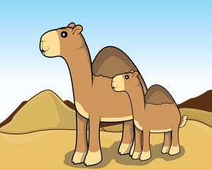 camel scenery