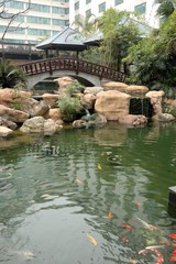 Fototapeta na wymiar Chinese garden