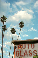 aged and worn photo of auto glass sign with palm trees