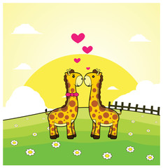 giraffe romantic couple with grass land background
