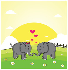 elephant romantic couple with grass land background