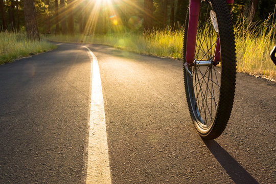 Bike on asphalt path illuminated by the sun.