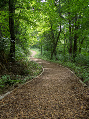 油木美林のウッドチップ敷き遊歩道
