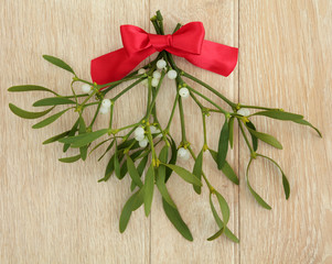 Mistletoe