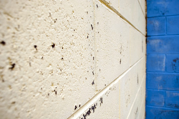 cream and blue coloured brick wall corner