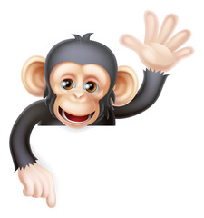 Naklejka premium Waving Monkey Sign