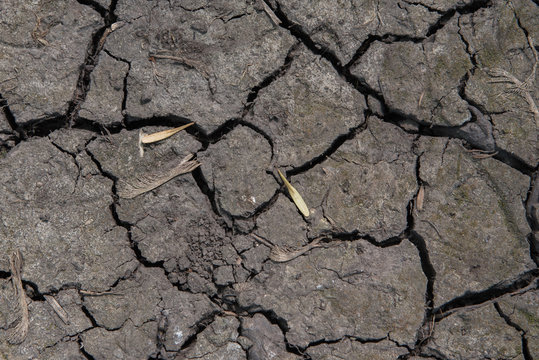 Cracks in Soil from Drought