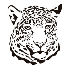 Leopard 002