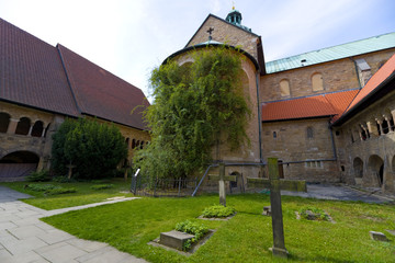 Tausendj&auml;hrige Rosenstock