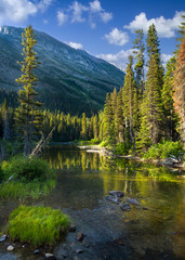 Tranquil Mountain Stream in Glacier National Park