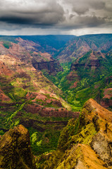 Overlooking Waimea Canyon State Park, Kauai, Hawaii, USA