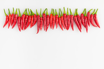 Horizontal row of hot spicy red Thai chili peppers arranged on white background with copy space.