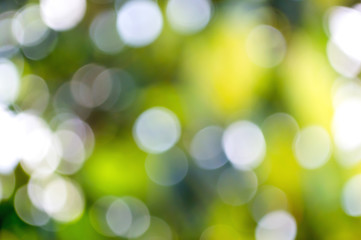 background of green bokeh