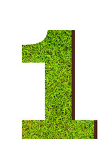 Fototapeta premium number 1 from the green grass. isolated on white.