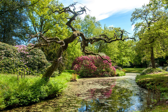 Rhododendrenpark L&uuml;tetsburg