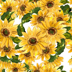 The pattern of blooming yellow flowers sunflower painted in watercolor