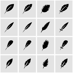 Vector black feather icon set