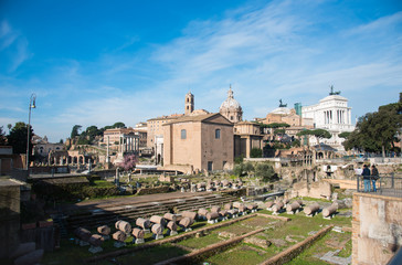 Fototapeta na wymiar フォロ・ロマーノ ローマ Roman Forum 
