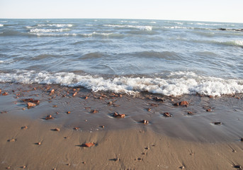 Wave and sand beach background