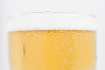 Beer and snack on white background