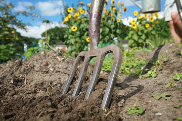 allotment - Stock Image