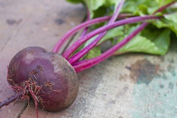 beet