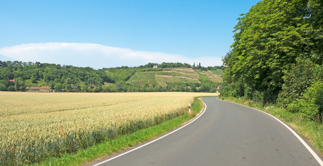 Landschaft im Weinanbaugebiet Saale-Unstrut