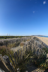 Obraz premium la camargue