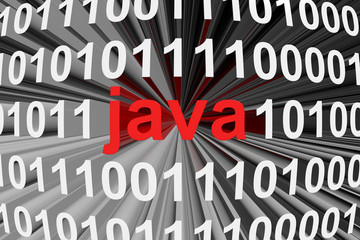 java is presented in the form of binary code