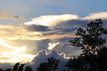 Sky clouds in evening