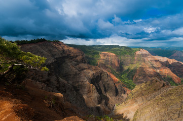 Obraz premium Overlooking Waimea Canyon State Park, Kauai, Hawaii, USA