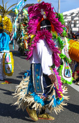 Naklejka premium carnaval de Nice 