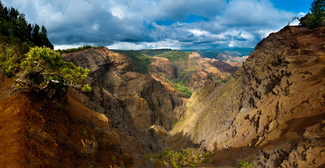 Overlooking Waimea Canyon State Park, Kauai, Hawaii, USA