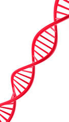 DNA Helix