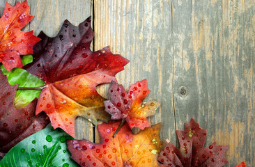 Autumn leaves background