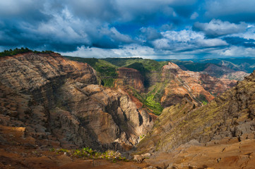 Overlooking Waimea Canyon State Park, Kauai, Hawaii, USA
