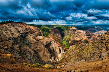 Overlooking Waimea Canyon State Park, Kauai, Hawaii, USA