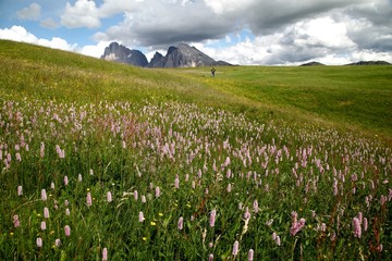 Paesaggio Alto Adige Alpe di Siusi