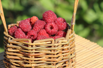 Basket with fresh ripe raspberries standing on a table in a garden
