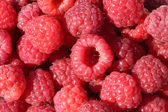 Basket with fresh ripe raspberries standing on a table in a garden
