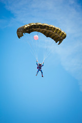 Skydiver in the sky